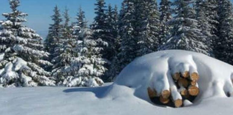 Ски и сноуборд учители искат промяна в плана на Витоша